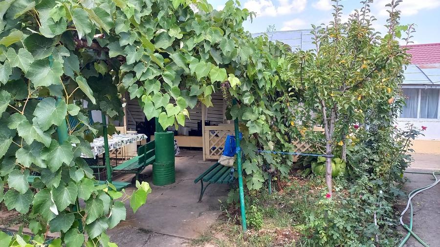 Gospodarie si teren intravilan 2550 mp. Com. Munteni-Buzau, IL . - 14