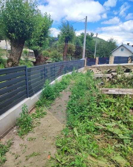 Teren in Bucovina, intravilan 3824 mp Deia-Frumosu, Suceava - 2