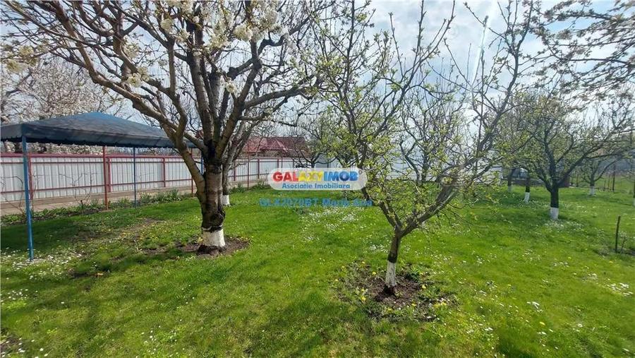 Casa cu teren 800 mp., la pret de apartament, Catamarasti Deal! - 20