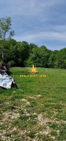 Teren extravilan 2200 mp - Budeasa Mica, Arges - 9