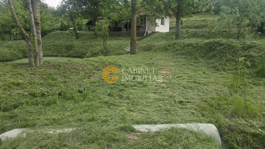 Oază de liniște și natură! Casă  cu 2 heleșteie și pârâu în curte – Probota - 10