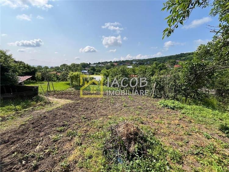 Casa cu 1690 mp teren, vie pe rod, comuna Sarata, jud. Bacau - 8