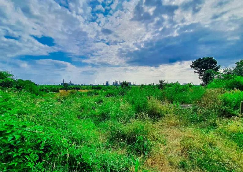 Teren intravilan Bradu Arges - 1