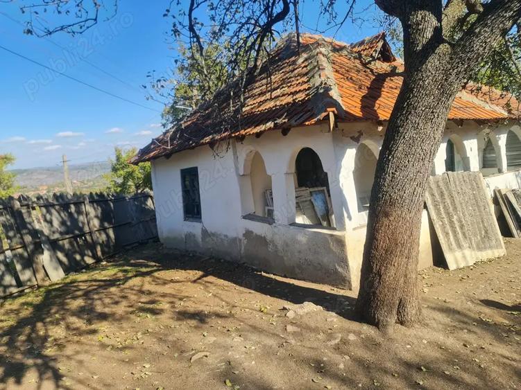 Casa si pamant agricol de vanzare - 8
