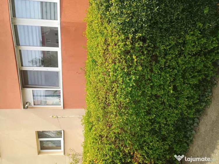 Apartament de vanzare - 1