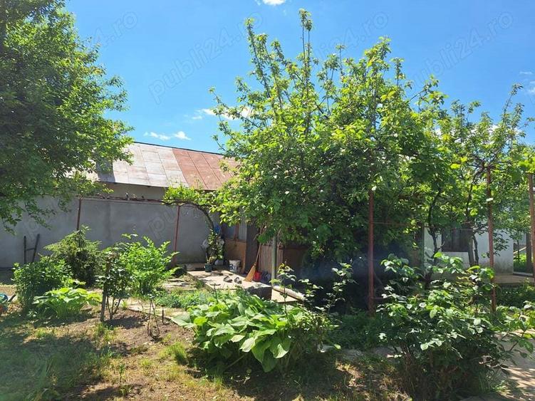 Vand casa de caramida cu teren comuna Stancuta jud Braila - 4