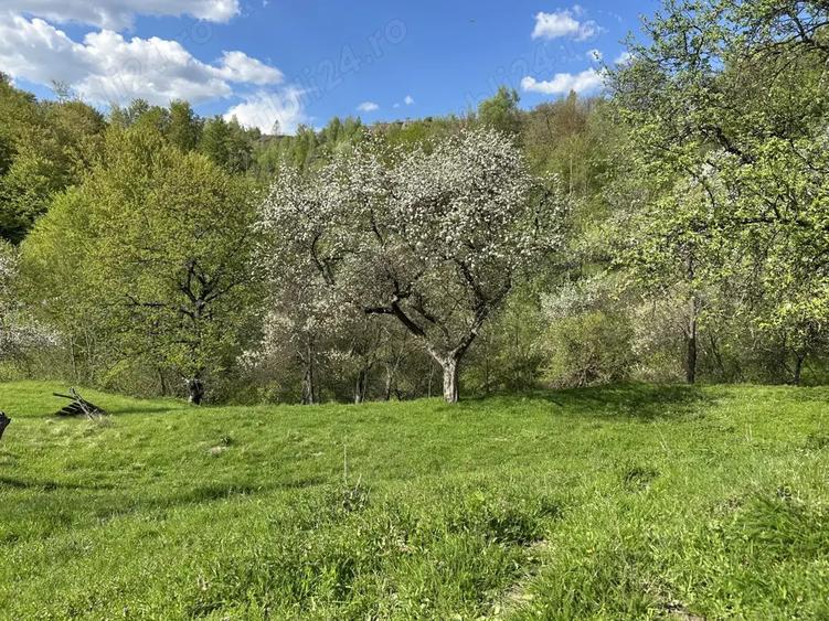 Casa ?i teren de vanzare - 5