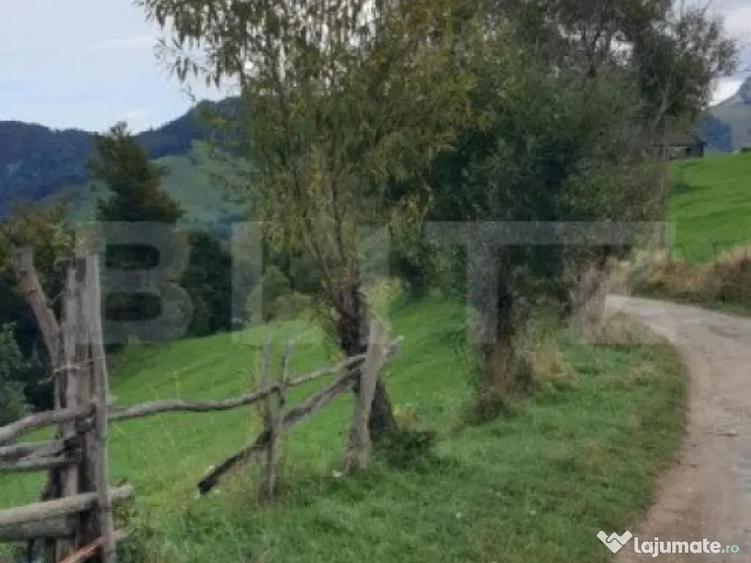 Teren 13.570 mp, Moieciu Pestera - 7