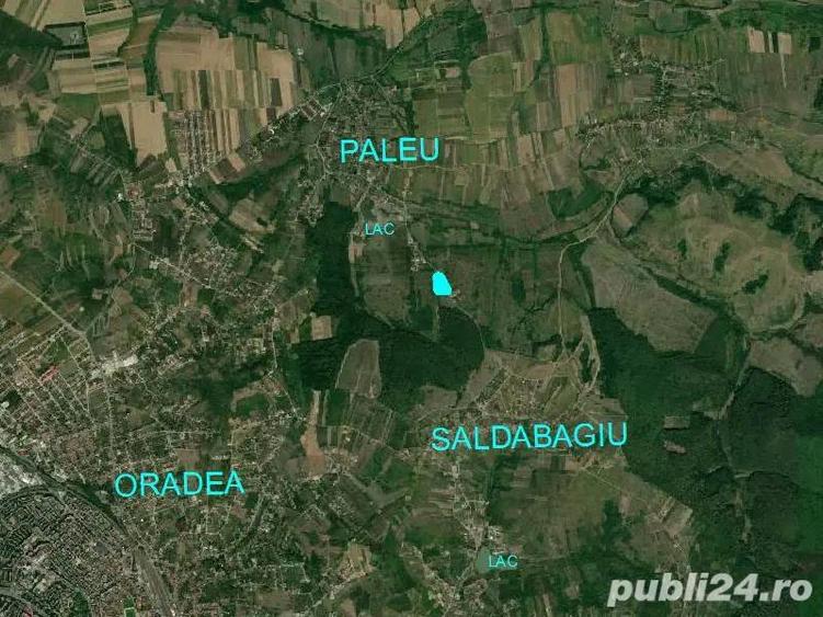 Teren intravilan 5340 mp triplu frontstradal cu asfalt intravilan Paleu - 2