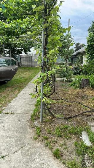 POROINICA MATASARU DAMBOVITA - 9