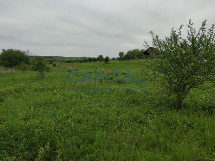 Comision 0%! Oportunitate, teren intravilan, 800 mp Masterplan, Sopor - 2