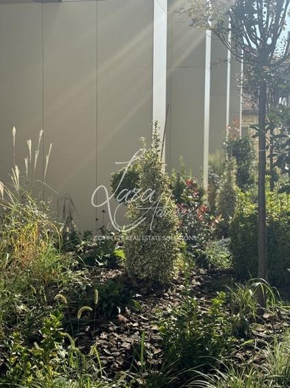 3 camere, Promenada Mall - 14