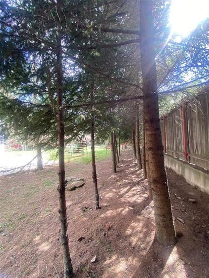 VILA  10 camere P + 1 si TEREN in ZONA HALOS - LOCUINTA BUSSINES IN MANASTIREA C - 4