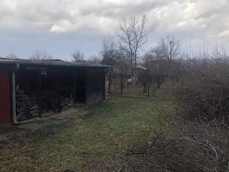 Casa  cu imbunatatiri, curte + livada Drajna de Jos / Prahova! - 5