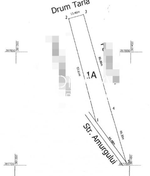 Vanzare teren intravilan - 1654 mp - strada Amurgului - Ursati - 7