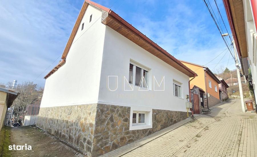 Proprietate cu 3 corpuri | casa + spatiu separat | Muncitoresc - 20