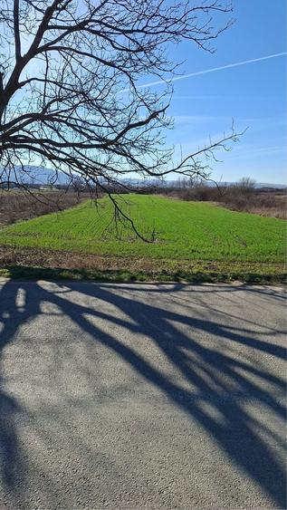 Vand teren in Tetchea, Bihor - 13562 m2 ! - 2