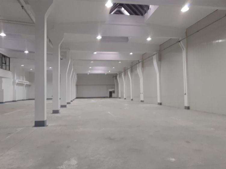 Hala de 700 mp zona Progresul - 2