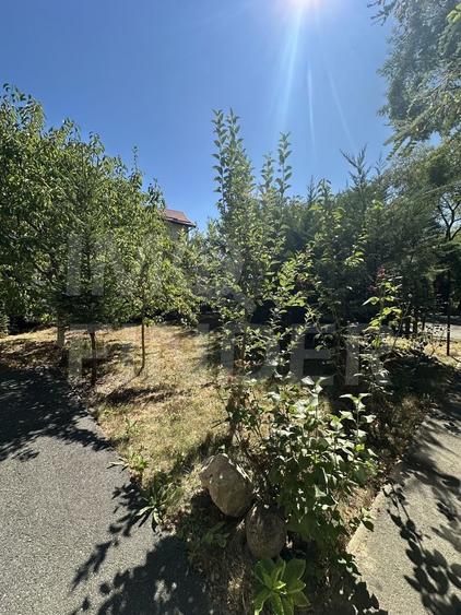 Apartament in vila, 90 mp, 2 dormitoare si 2 bai – Grigorescu, Donath - 3