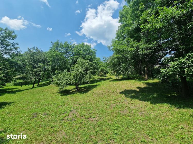 Teren de 3910 mp, în Secăriei