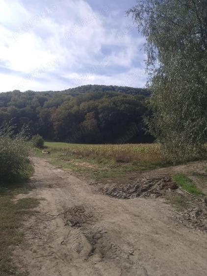 Teren de 5600 mp, în Nord