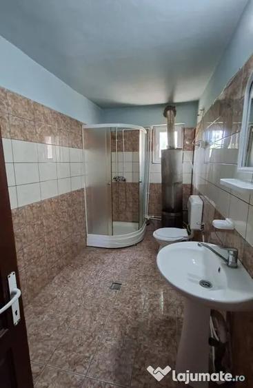 Casă cu 3 camere cu Teren 1667 Mp în Teiu