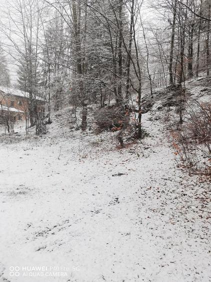 Teren intravilan situat in Busteni - 1