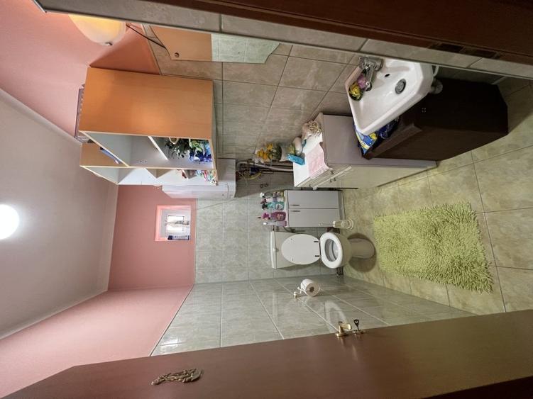 2 case, hala depozitare, teren 3785 mp - 2 F.S. - 22 m, pe malul Begai - 14