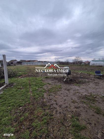 NECTORA IMOB-Casa 3 camere, 2 bai, 96 mp utili + 719 mp teren, terasa - 5