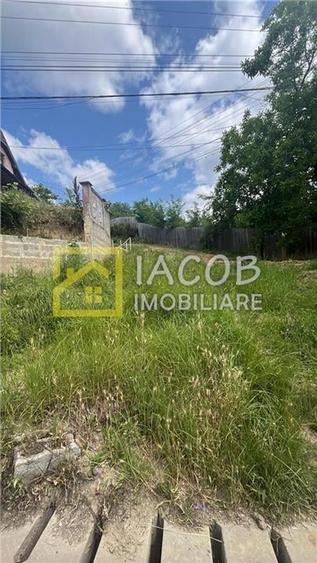 Casa cu 1690 mp teren, vie pe rod, comuna Sarata, jud. Bacau - 13