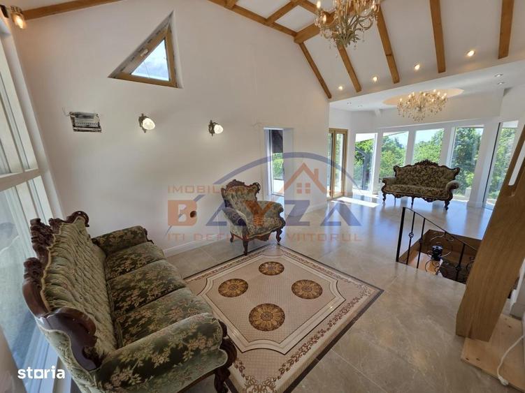 Casa superba P+E+M, teren 5.000 mp Viile Cicarlaului - 1