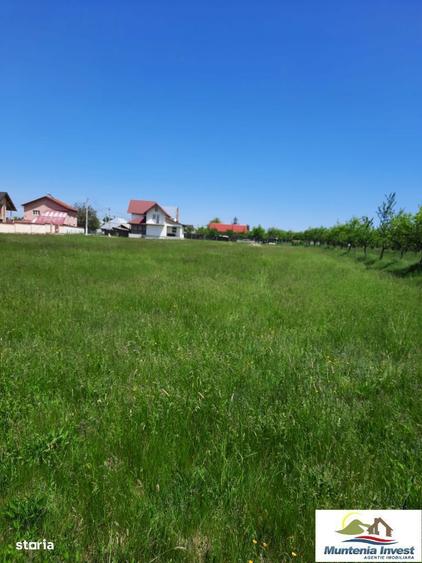 Teren 850 mp,Albota(Morlovani) - 2