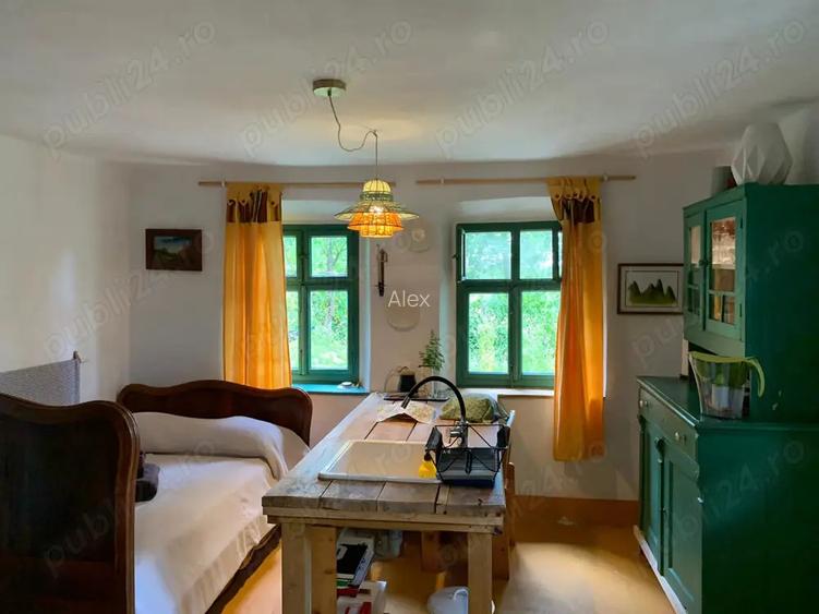 Investi?ie in natura > 2 case restaurate cu poten?ial de inchiriere si teren de 20.000 mp