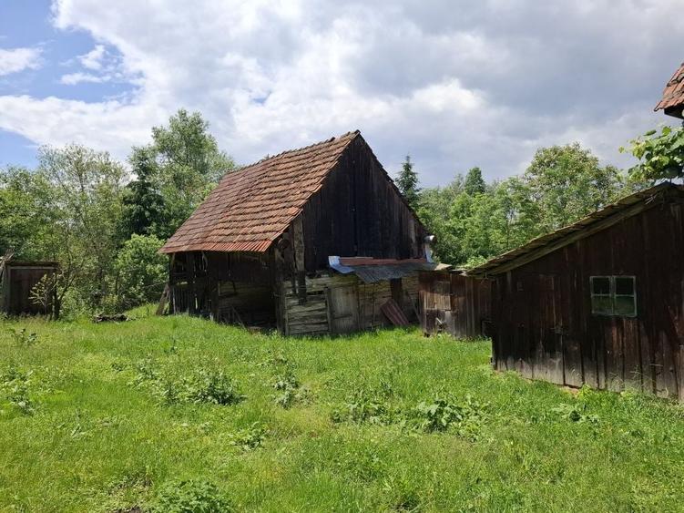 Casa de vanzare in Arpasu de Sus - 4