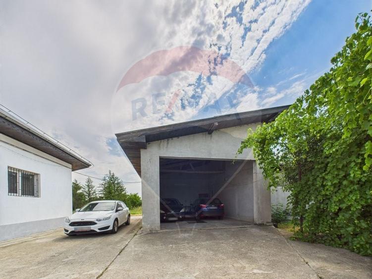 Proprietate speciala Dragomiresti Deal -Teren 15000 mp - 35