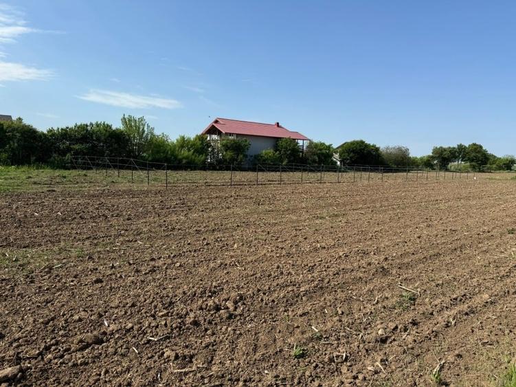 De vanzare 2 loturi de teren de 500mp in Ciorogarla, Str. Cartonari - 1