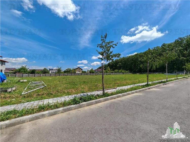 Teren constructii in proximitatea Padurii Corbeanca - 1
