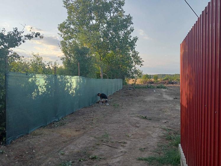 Teren 450/900cu utilitati si casa DN1 Ciolpani URGENT - 3