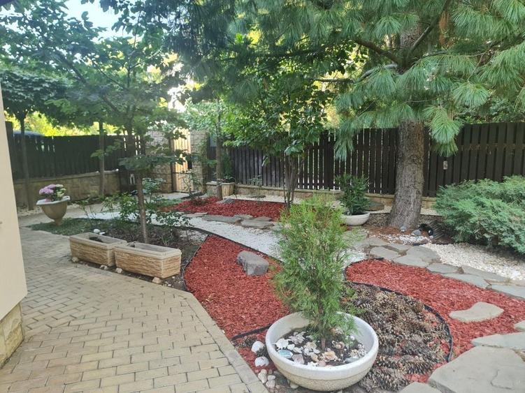 Vila Superba Pipera - 35