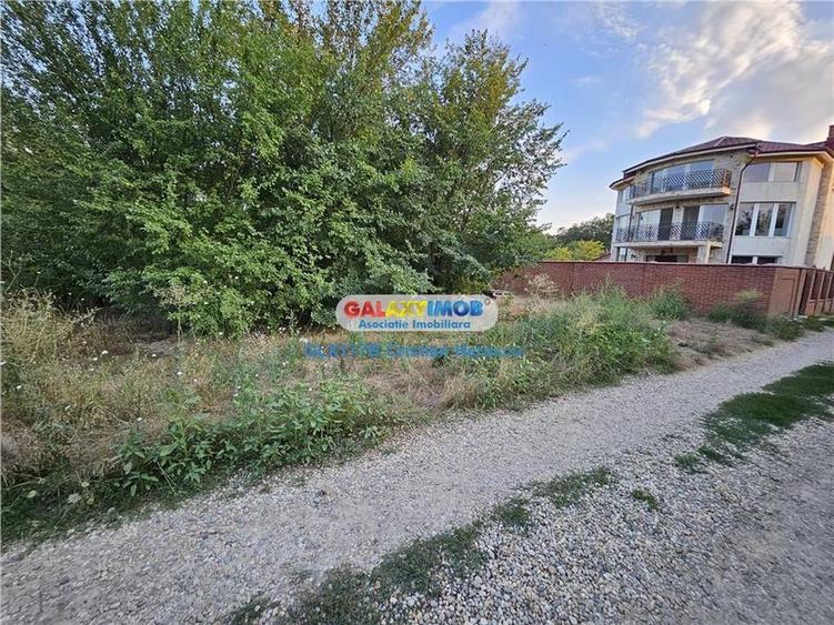 Buftea Flamanzeni 843 mp Str Independentei - 9