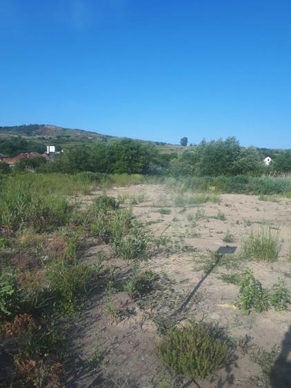 Teren strada Ion Creanga, comuna Chinteni - 2