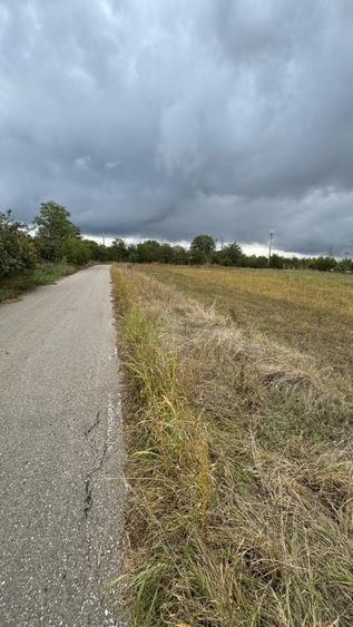 Parcul National Comana, Sat Vlad Tepes, Comuna Comana, jud.Giurgiu - 5