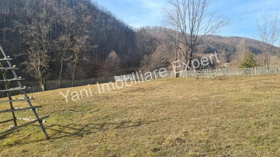 Teren de vanzare in comuna Cicane?ti, Jude? Arge?. - 13