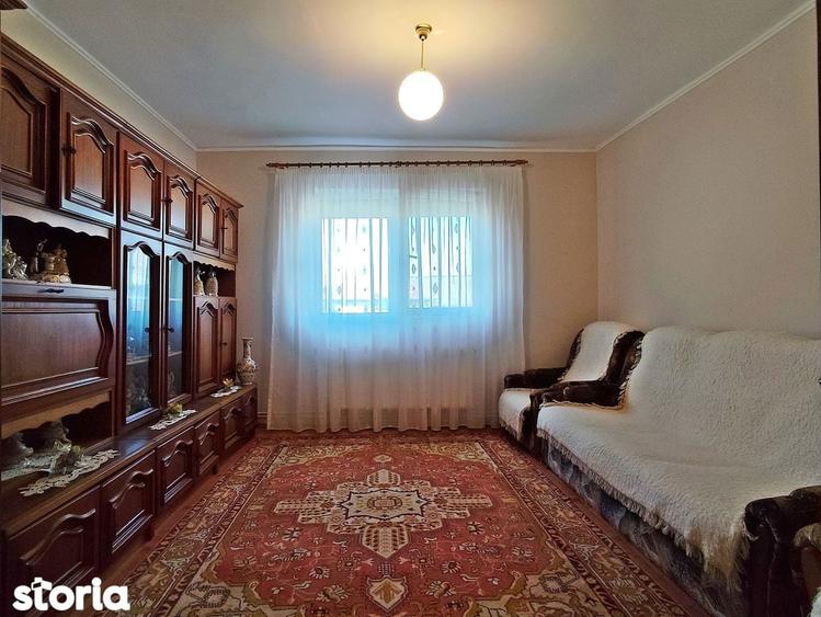 Casa la tara in Sacadat, Bihor, teren 2826 mp, acces auto - Vanzare - 14