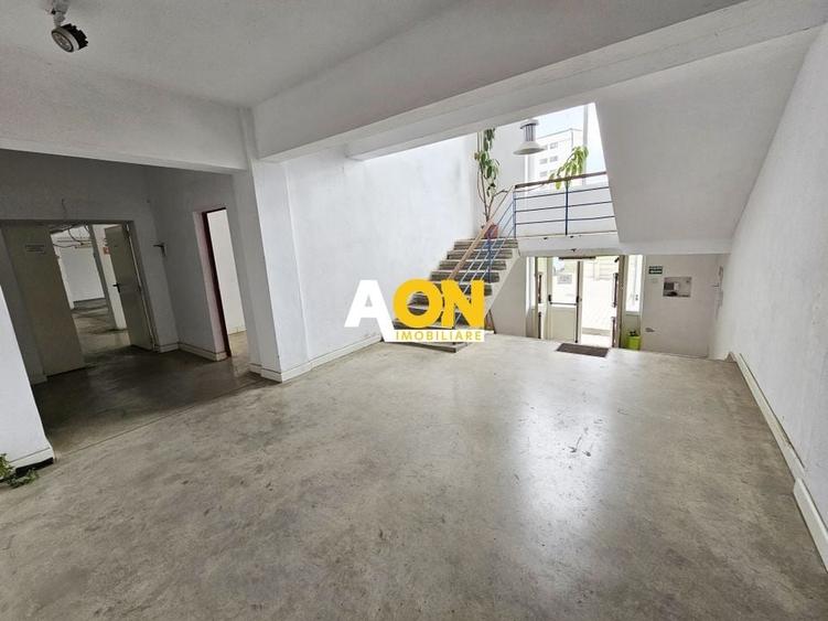 Spatiu industrial pentru productie sau depozitare, 1600 mp, Sebes - 15