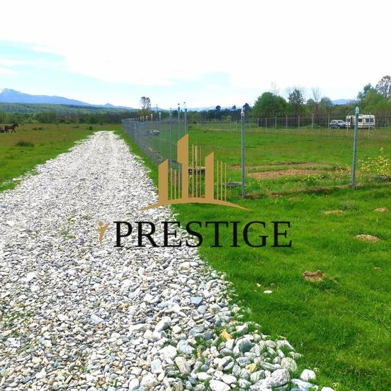 Teren Valea Avrigului – 1.000 mp | 1 km Dino Park | 25 €/mp - 4