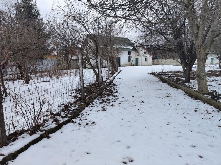 Casa singur in curte Vulcan -Central - 4