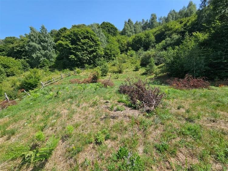 Alzza Real Estate  Teren intravilan de vanzare in Salicea, Cluj  1170 mp cu PU - 8