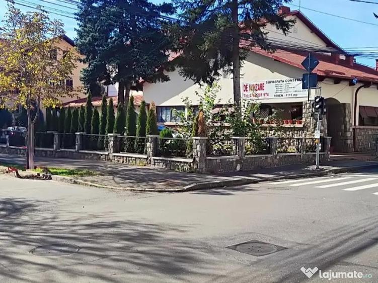 Spatiu comercial ultracentral, Campina, PH, Parc central, Bdul Carol I - 3