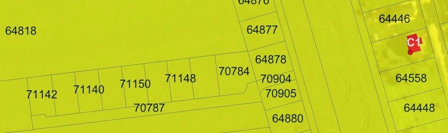 Balotesti Margeanului 1060 mp 34euro/mp - 4